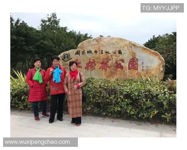 2018至2019赛季火箭队与篮网队精彩对决回顾与分析