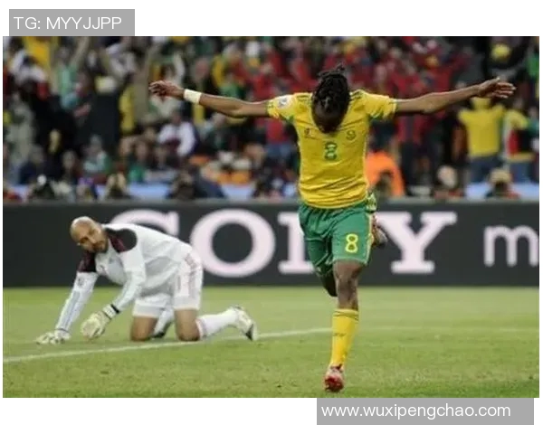 南非与墨西哥精彩对决赛况分析及数据统计报告