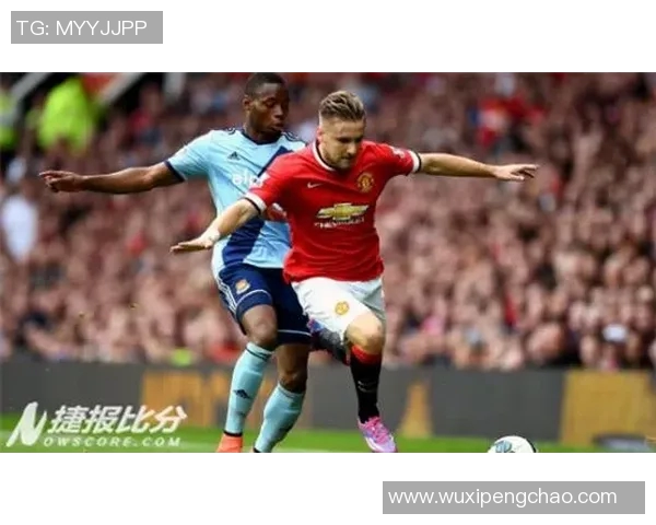 卢多戈雷与费球队对决精彩回顾及赛后分析